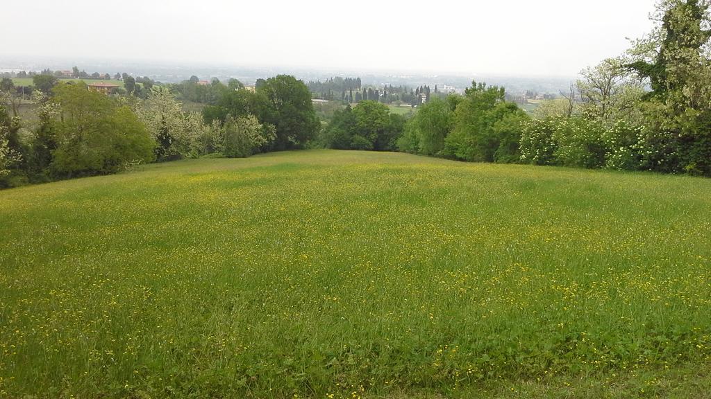 Agriturismo Montevecchio Isolani Villa Monte San Pietro Buitenkant foto